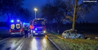 Głogów: Audi A4 uderzyło w drzewo pod Nielubią.