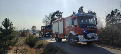 Pożar młodnika w Koźlicach