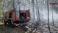 Pożary lasów w gminie Chocianów