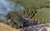 Pożary pól i lasów w gminie Gromadka - Aktualizacja