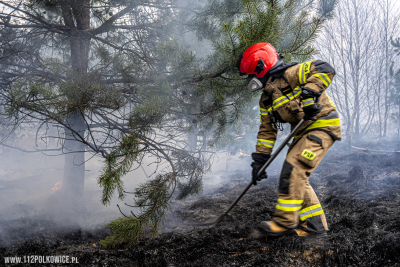 Pożar traw i lasu pod Nowa Wsią Lubińską